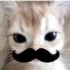 justaunni