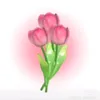 s0fiaa012