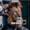 ebani_daun228