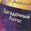 kxrxll_80