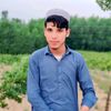 mustafakhan7581