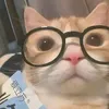 heryreal77