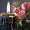 zayha84