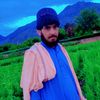 user919578766207