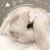 ratatouilleislovely
