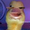 cxllmeyui402