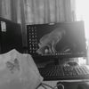 malam_stoberi