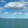amyyvsp