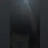 xxabbyreed