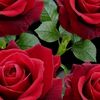 ilwaad_qurux07