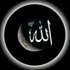 zulqarnainjaved66