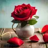 shizilin_786