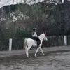 navarro2486