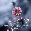 user3255608241212