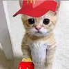 vanilbeanstalkfp