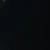 honey_ll0