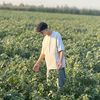 moaz.kassem7