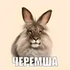 casperlilbro