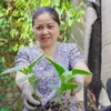 nha.co.nhung