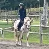 ginny_horse3