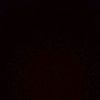 dany.l455