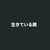 adr7ano_0