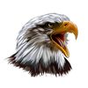 eslam.aldin