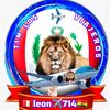 leon71429