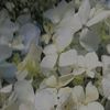 regi.0703
