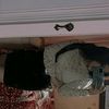 litzi_1997jk