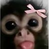 valentinaalvarado273