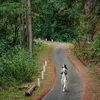 nam.nguyen.photographer
