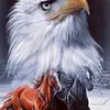 toufik.guelou