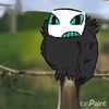 littlefungus3