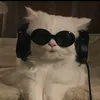 zxyk97