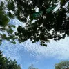 helotaoday1