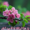 rabiatul.mohamad