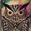 nightowl.702