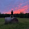 bfc_raylan1