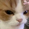 uwuw_182