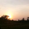 geeta8645