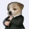 dwongnek