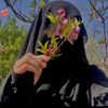 najrashah1145