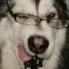 basourrpie