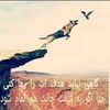 user4765419612133