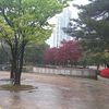 user9100907090140