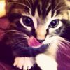 awwl00