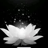phng.tran136
