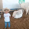 rafaelbrunamartim