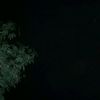 faisall_0411